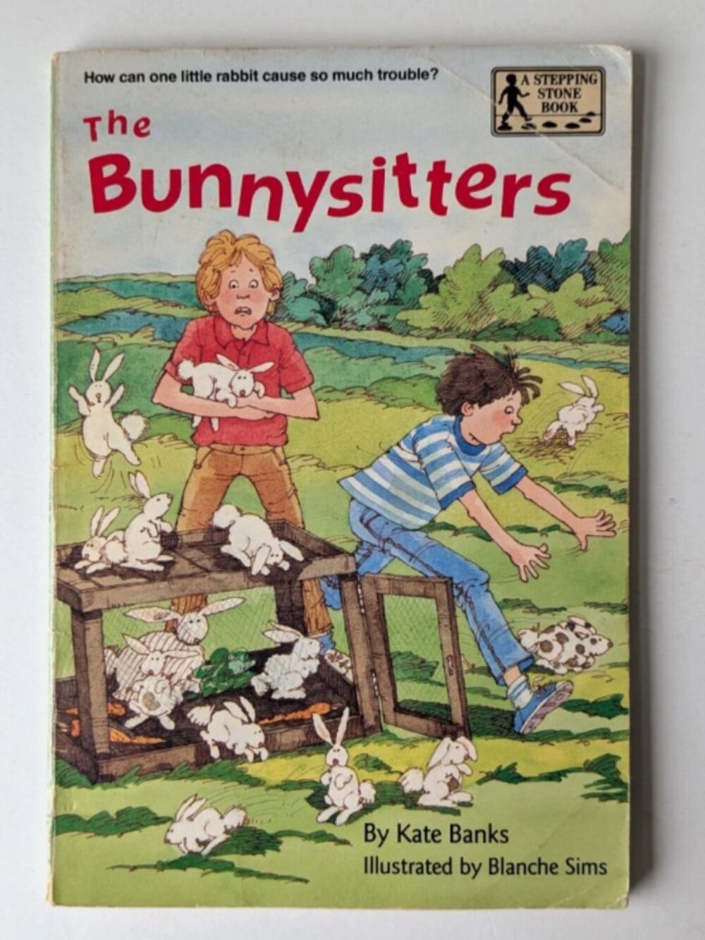 5/$15 Book Bunnysitters Kate Banks Chapter Book Stepping Stone Early Reader 1991
